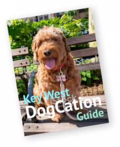 DogCation Guide